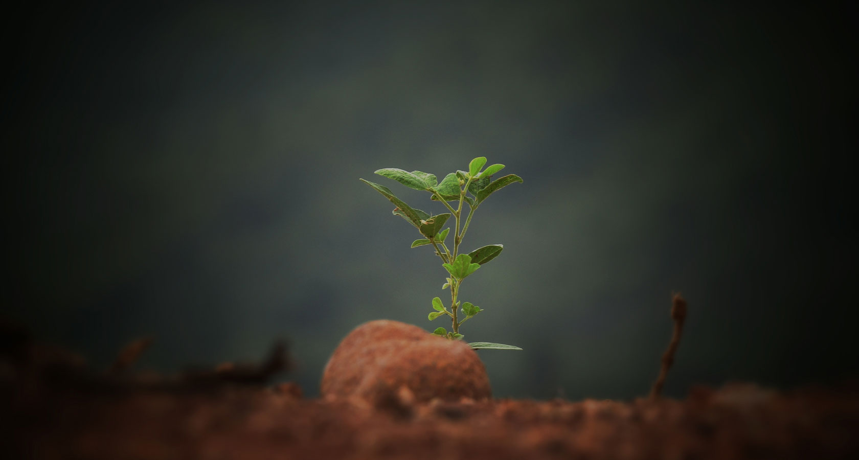 抖圈-为du而生官网入口